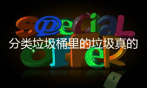 吗分类分类垃圾的垃的会桶里圾真处置